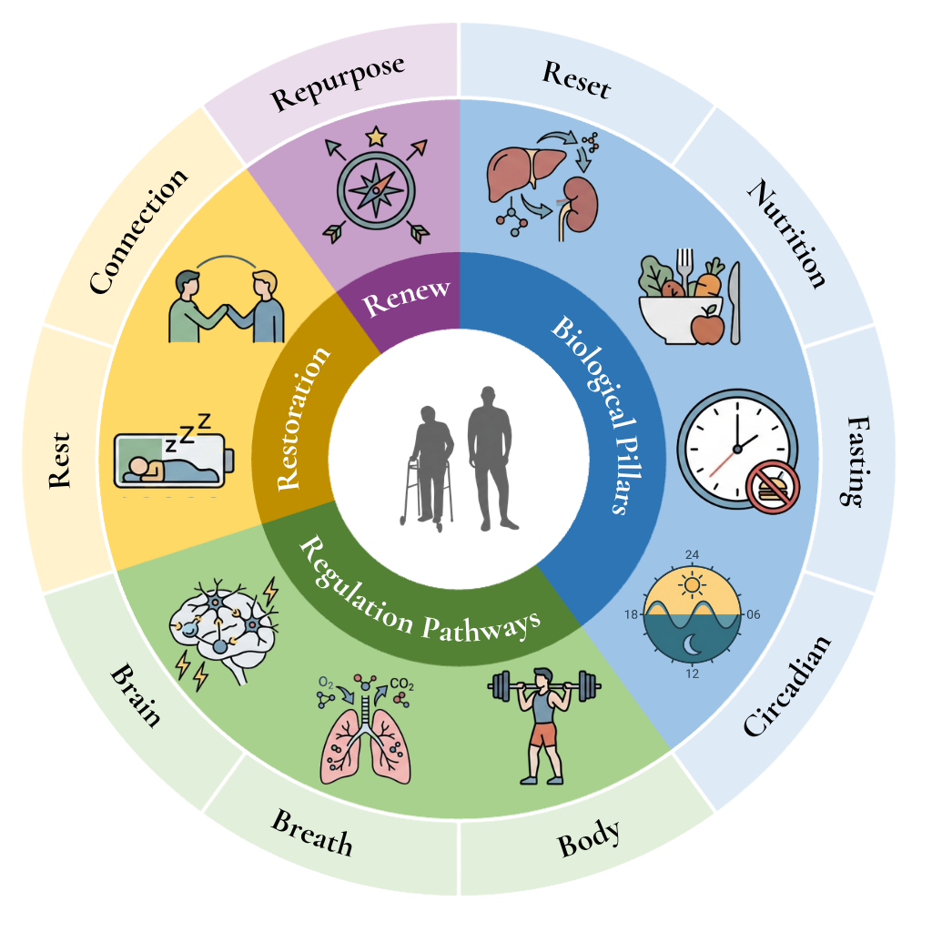The Beyond Aging 4+3+2+1 Framework: ten sections across four layers